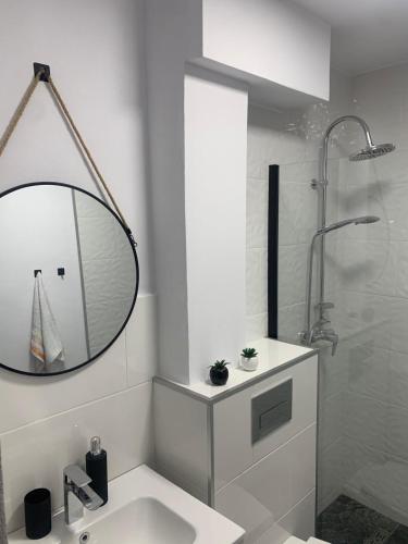 a bathroom with a sink and a shower and a mirror at Bia's apartament in Râşnov