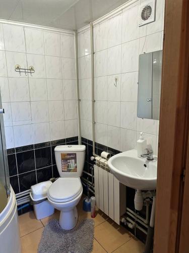 a bathroom with a toilet and a sink at Dobriy Hotel in Vorokhta