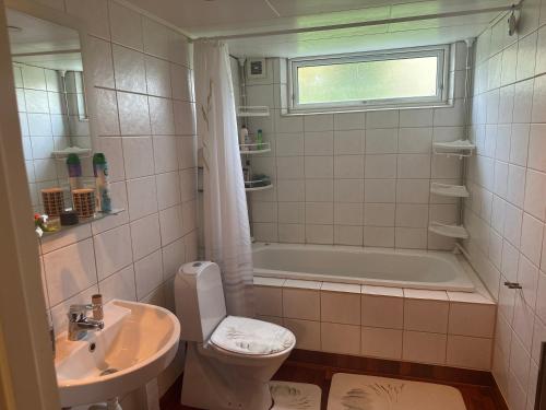a bathroom with a sink and a toilet and a tub at Vittsjö charmiga hus in Vittsjö