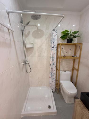 a bathroom with a shower and a toilet at Cici Guesthouse in Caminha
