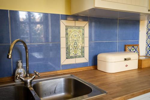 una cucina con lavandino e parete blu di Haus Burgblick a Grimma