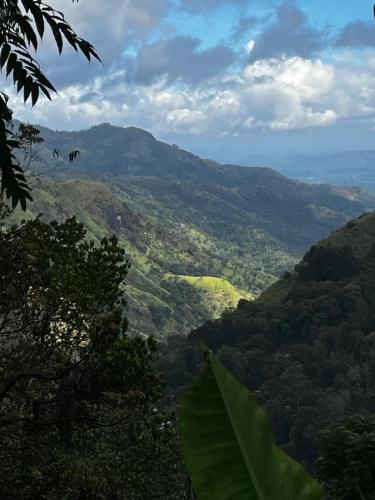 Paisaje cerca de este apartamento