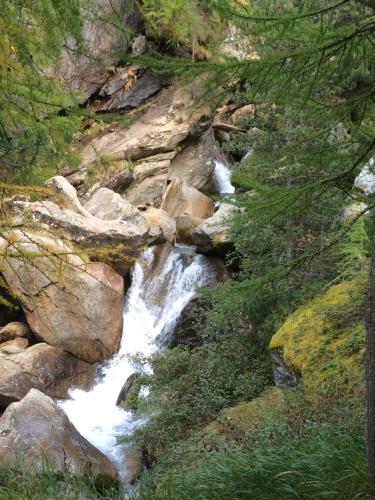 a stream of water flowing down a rocky hill with trees at Haus Alpenstern in Saas-Grund