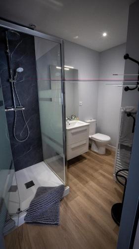 a bathroom with a shower and a sink and a toilet at Le Petit Mona LIORA in Civaux