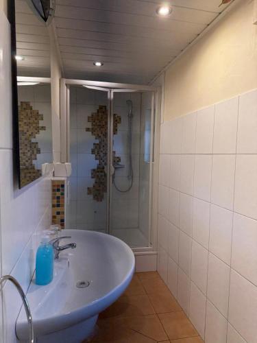 a bathroom with a sink and a shower at Haus Sonnenschein in Winterberg