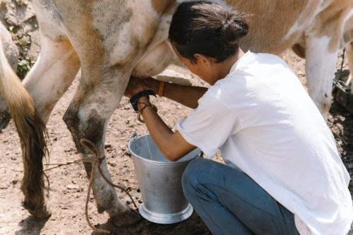 Fotografie z fotogalerie ubytování Hello Trekkers Home, Sherpagaun v destinaci Syābru Bensi