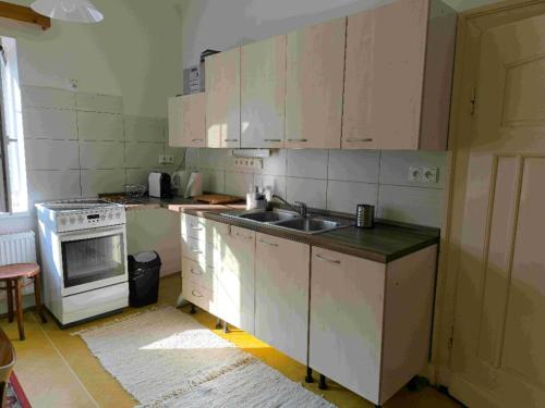 Кухня или мини-кухня в Apartmán v rodinném domě
