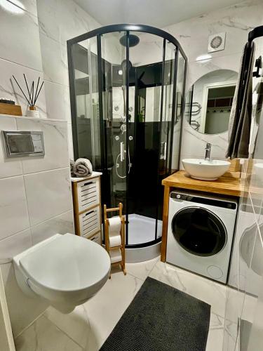 a bathroom with a toilet sink and a washing machine at Keskuse apartment with a balcony in Haapsalu