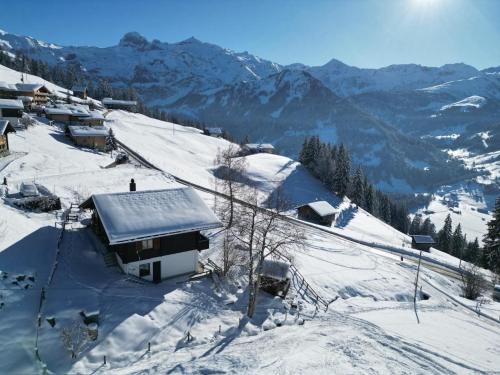 a snow covered mountain with houses on top of it at Datscha in Lenk