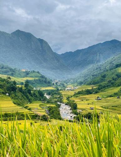 Landskap semula jadi dekat dengan lodge