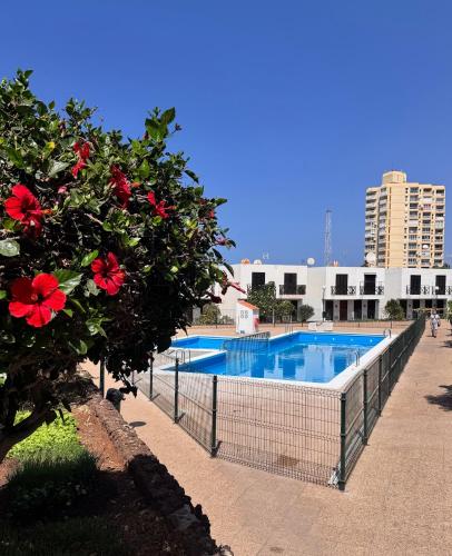 Las Americas Bungamar apartment