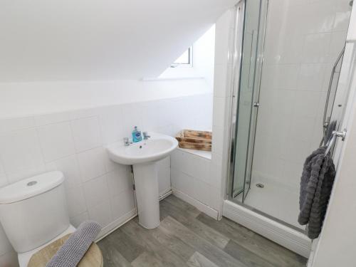 a bathroom with a toilet sink and a shower at Castleview Coastal Comfort in Oystermouth