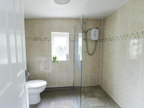 a bathroom with a toilet and a glass shower at Harbour Lights in Holyhead