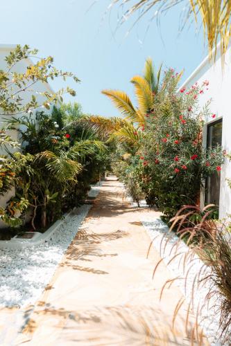 a path through a garden with trees and plants at The Bali Resort Zanzibar in Pingwe