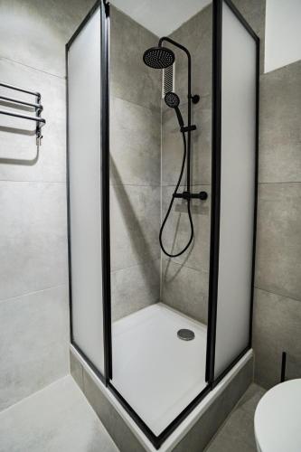 a shower with a glass door in a bathroom at 2 BR Apartment - ZENTRAL - KÜCHE - BALKON - WIFI - NETFLIX - BUSINESS - KAFFE - PARKHAUS in Wiesbaden