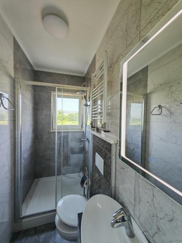 a bathroom with a shower and a toilet and a sink at Villa Estera in Grubine