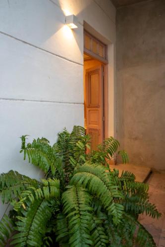 Fotografie z fotogalerie ubytování Casa Mare v destinaci Mérida