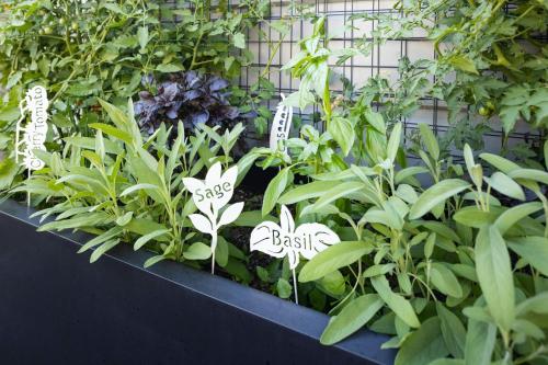 a garden filled with green plants and signs at Element Minneapolis Downtown North Loop in Minneapolis