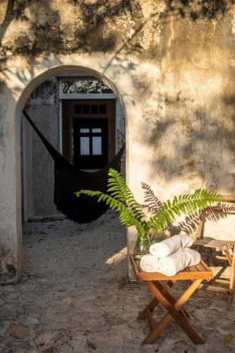 Fotografie z fotogalerie ubytování Casa Mare v destinaci Mérida