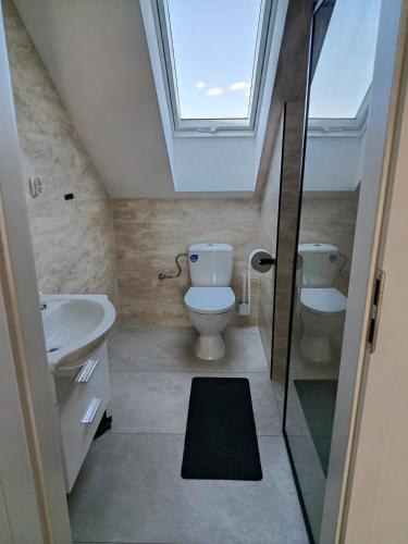 a bathroom with a toilet and a sink and a skylight at Noclegi Sarzyna 183 staroniowska in Nowa Sarzyna