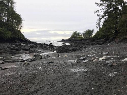 a rocky beach with rocks and the ocean at The Great Escape - Port Renfrew & Bunkhouse in Port Renfrew