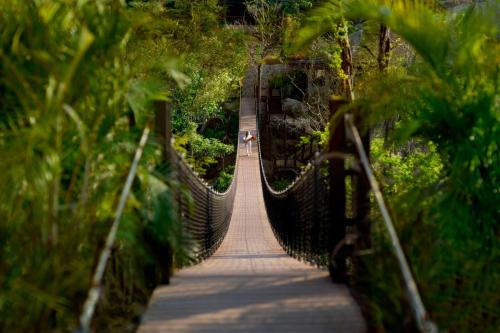 a suspension bridge in the middle of a park at Nekajui, a Ritz-Carlton Reserve Residences in Liberia