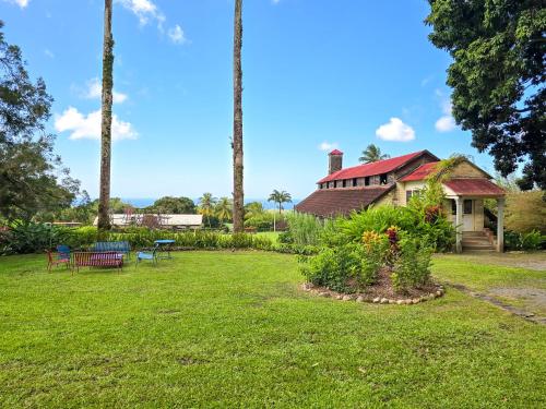 a yard with a house and palm trees at La Case à Lucie in Saint-Pierre