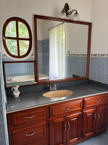 un baño con lavabo y espejo en Library Master Suite, en Montego Bay