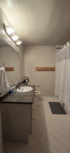 a bathroom with a sink and a toilet and a mirror at Northern Manor in Yellowknife