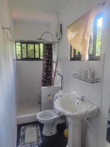 Papaya Guesthouseにあるバスルーム