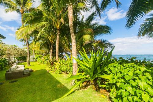 a garden with palm trees and a couch and the ocean at Kahaone Ohana (30+ night rental) in Waialua