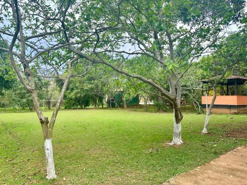 Gallery image of Recanto das Lagoas, Minas Gerais in Mateus Leme
