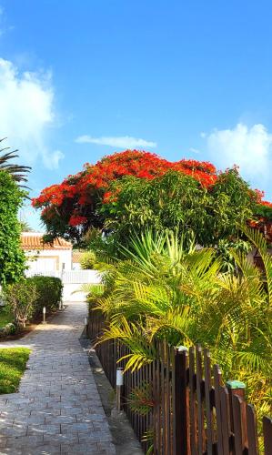 Sunnypalms Casa Mar 22