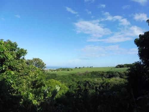 Fotografie z fotogalerie ubytování Bungalow dans un écrin de verdure! v destinaci Saint-Pierre