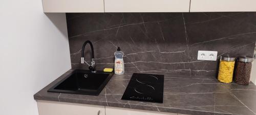 a kitchen counter with a sink and a bottle of soap at SimpleStayVilnius in Vilnius