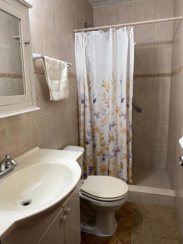 a bathroom with a sink and a toilet and a shower at Two Bedroom Home Punta Chame Resort in Pajonal