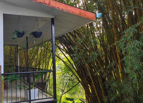 a screened in porch with potted plants and trees at Casa Emma Quepos in Quepos