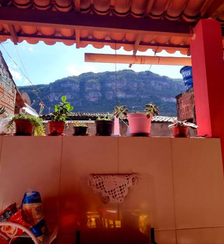 a row of potted plants sitting on a window sill at Morada das Plantas in Mucugê