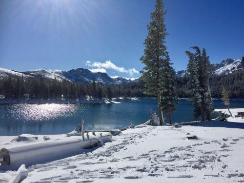 a snow covered lake with a tree and mountains at Fireside Pool Access Hot Tub & More in Mammoth Lakes