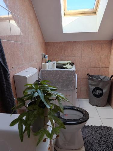 a bathroom with a toilet and a plant in it at Međimurski San in Lopatinec