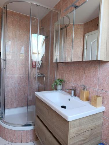 a bathroom with a white sink and a shower at Međimurski San in Lopatinec