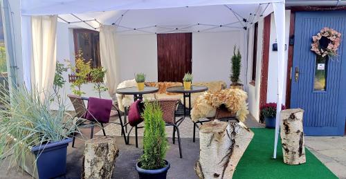 a patio with tables and chairs and potted plants at hostinec Thérése in Petrovice