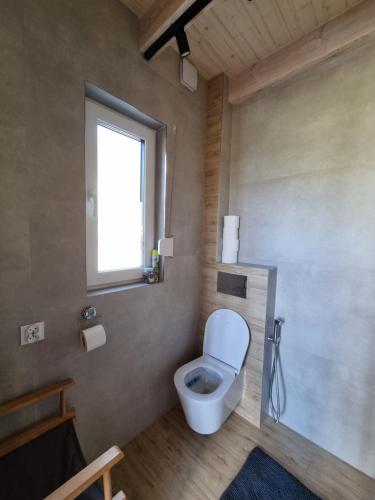 a bathroom with a toilet and a window at Przystań Lubie in Linowo