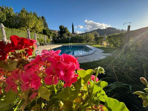 a garden with red flowers and a swimming pool at Casa De Fatauncos in Vouzela