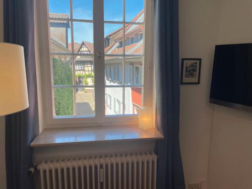 Apartment im Scheffelhausにあるテレビまたはエンターテインメントセンター