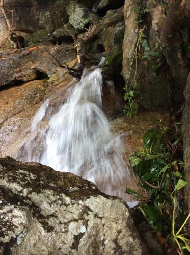 a small waterfall in the middle of a forest at Cham Island Smiles Homestay in Tân Hiệp
