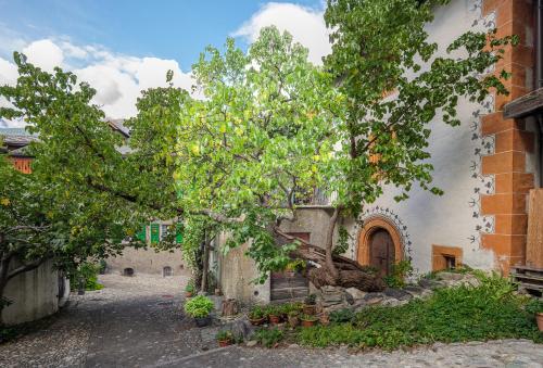 a tree in front of a white building at Cricerhaus in Visp