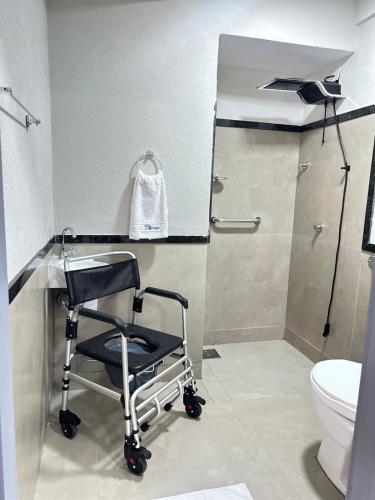 a wheelchair in a bathroom with a toilet and a mirror at Terraço Plaza Hotel in Jabuticabal