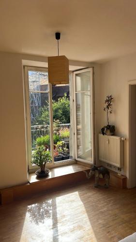 a room with two large windows and a cat looking out at Ferienwohnung ATELIER MÜNSTERBLICK in Konstanz