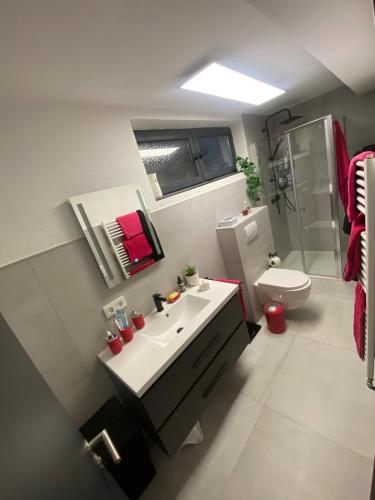a bathroom with a sink and a toilet and a mirror at Ferienwohnung- Zuhause auf Zeit in Spiesen-Elversberg